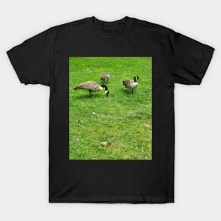 Boston Geese T-Shirt